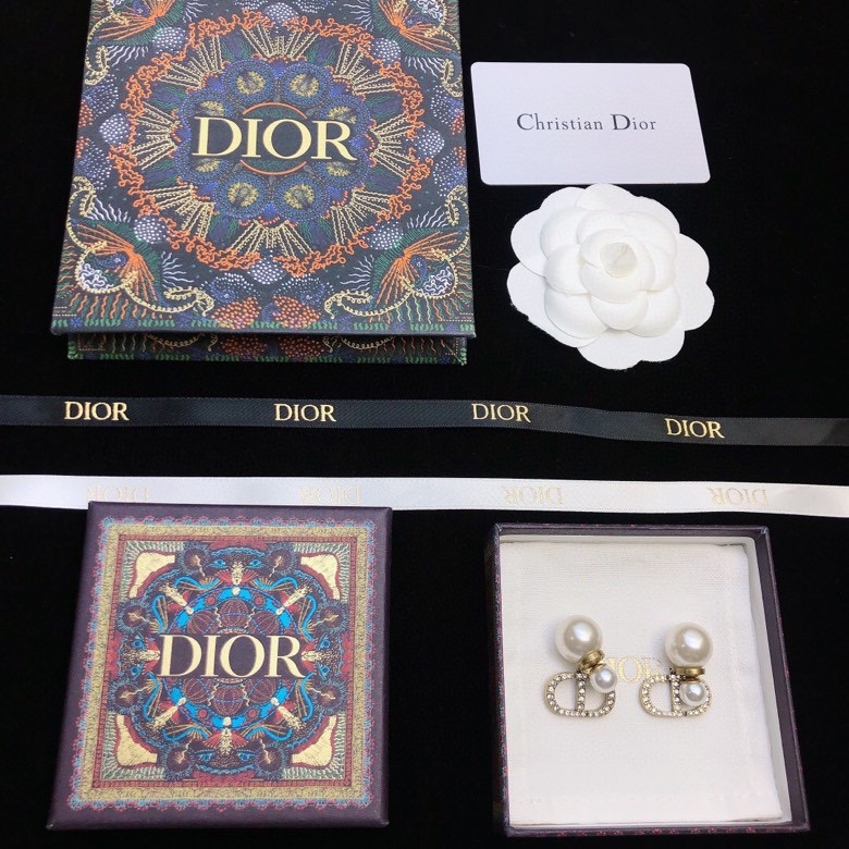 Christian Dior Earrings